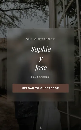 Dusk wedding website template preview